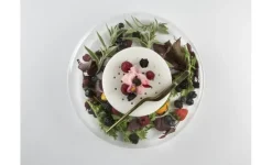 Advance Scene, serveringstallrik i borosilikatglas - 100% Chef