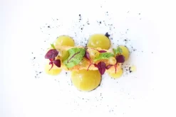 Agar Agar (E406) - The Kitchen Lab