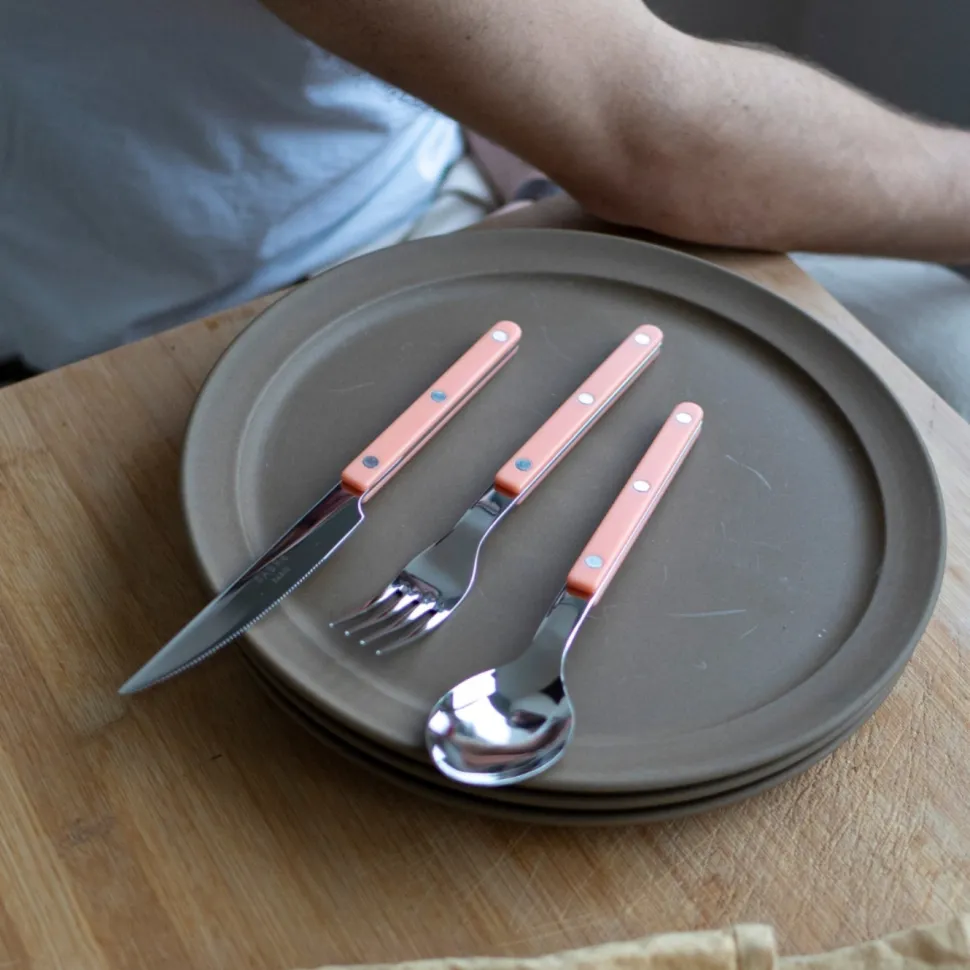 Bestickset, 24 delar, Bistrot, Nude Pink - Sabre Paris