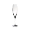 Champagneglas 17 cl, Penelopé - Stölzle