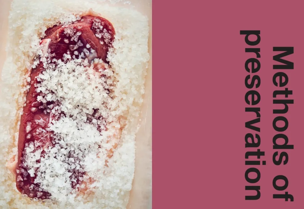 Charcuterie: From Scratch - Tim Hayward