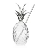 Cocktailglas, Ananas - 100% Chef