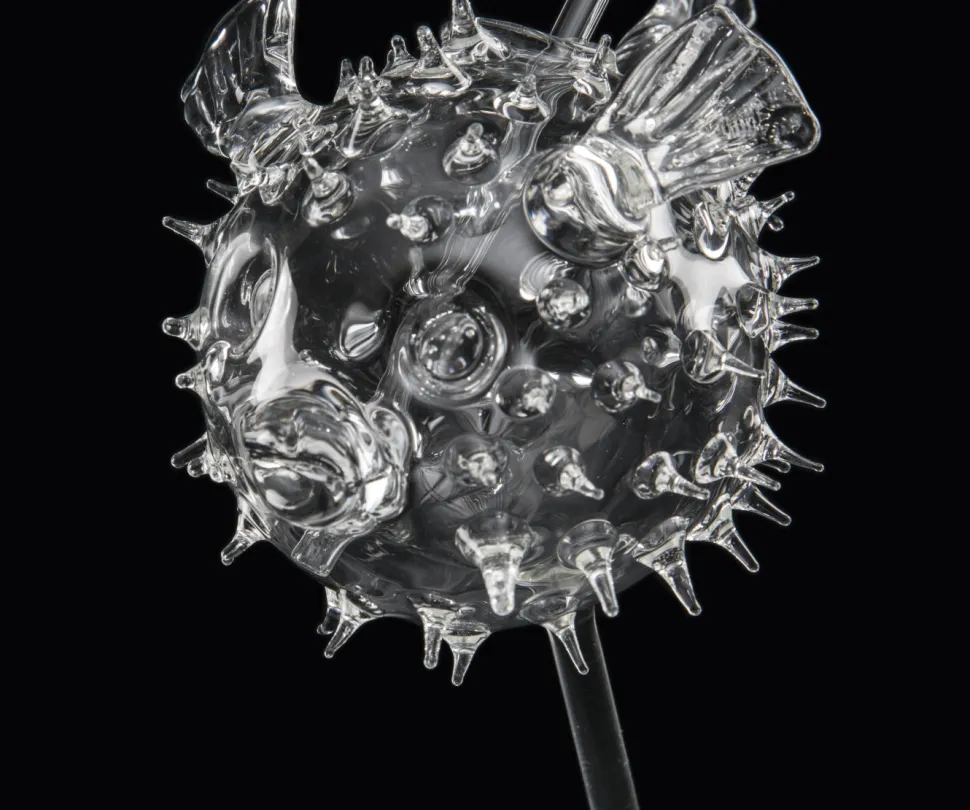 Cocktailglas, Fugu - 100% Chef