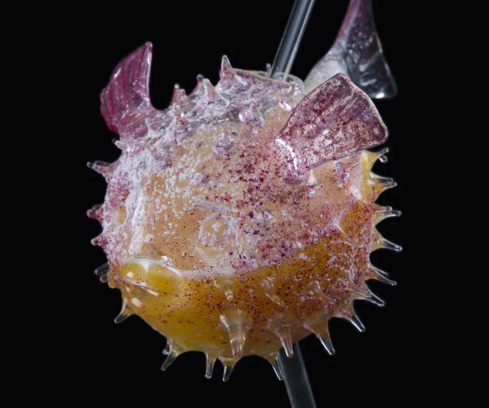 Cocktailglas, Fugu - 100% Chef
