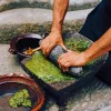 El Bajio: Recipes and wandering
