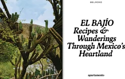 El Bajio: Recipes and wandering