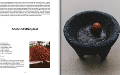 El Bajio: Recipes and wandering