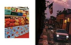 El Bajio: Recipes and wandering