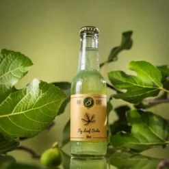 Fig Leaf Soda - Three Cents