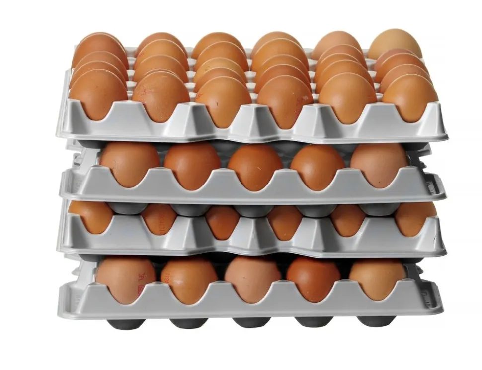 Äggflak i plast, 4-pack - Hendi