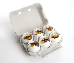 Ägghalvor i ugnsfast porslin, 10-pack - 100% Chef
