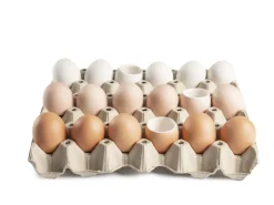 Ägg i porslin för servering, bruna, 10-pack - 100% Chef