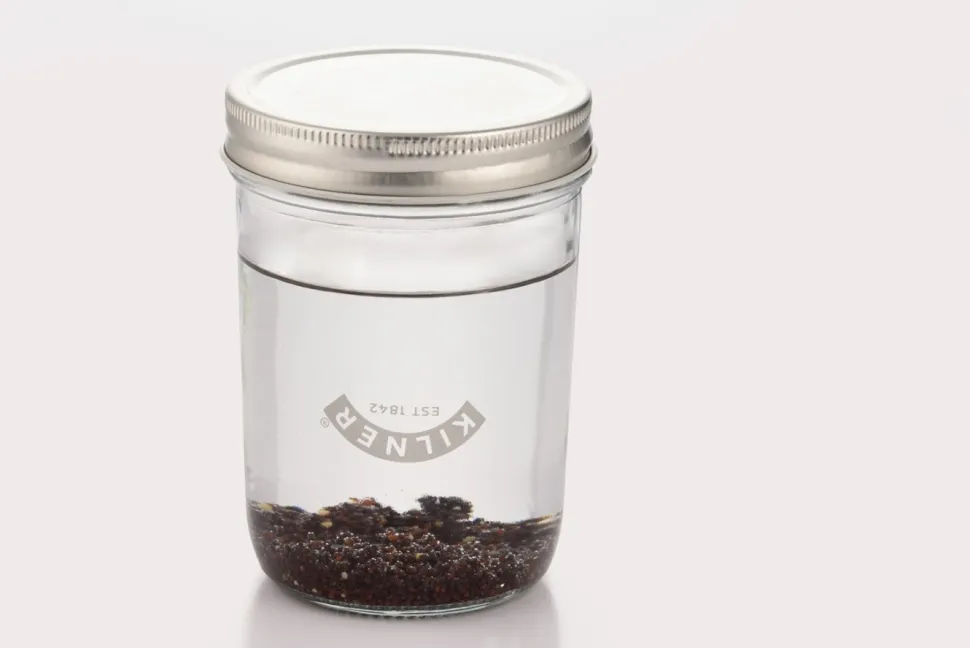 Groddburk - Kilner