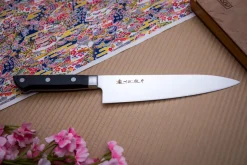Gyoto 21cm - Pro House