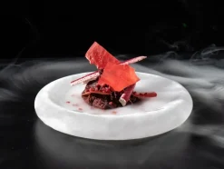 Ice Age Plate - 100% Chef - XX-Large