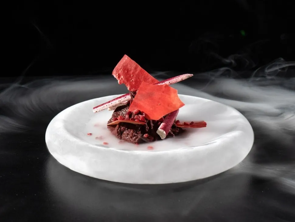 Ice Age Plate - 100% Chef - XX-Large