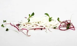 Karragenan Kappa (E407) - The Kitchen Lab
