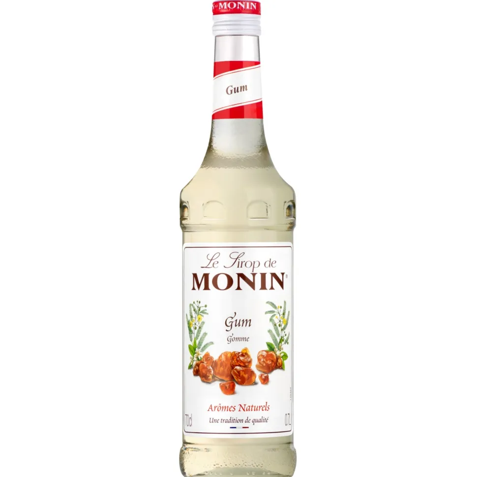 Monin Gomme Syrup 70 cl