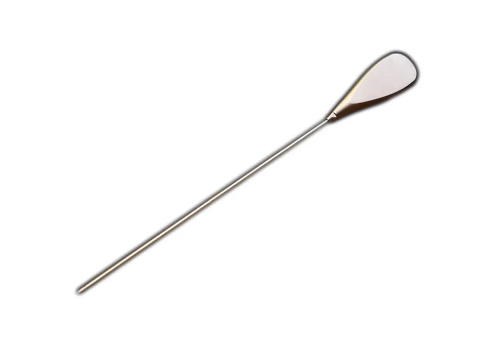 Noyau Cake Tester - Gestura