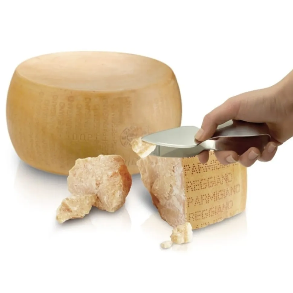 Parmesankniv/Parmesantång - I Geniette