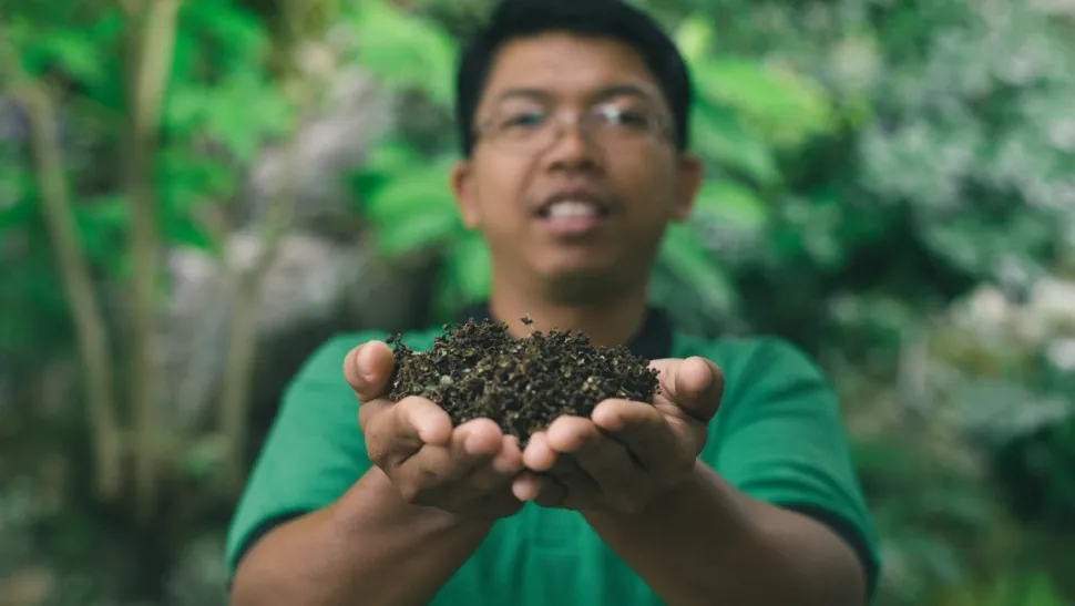 Peppar, Andaliman, Batak, 15 g - The Pepper Quest