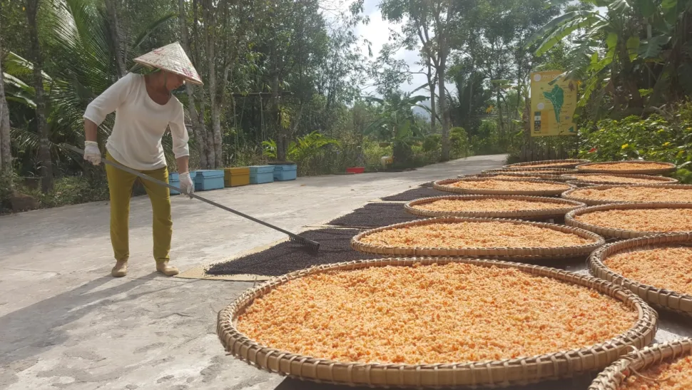Peppar, Sen skörd, Phu Quoc, 40 g - The Pepper Quest