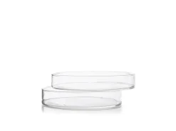 Petriskålar, 6 cm, 12-pack - 100% Chef