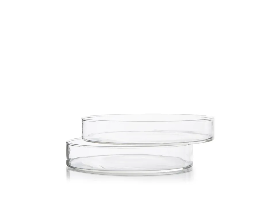 Petriskålar, 8 cm, 10-pack - 100% Chef