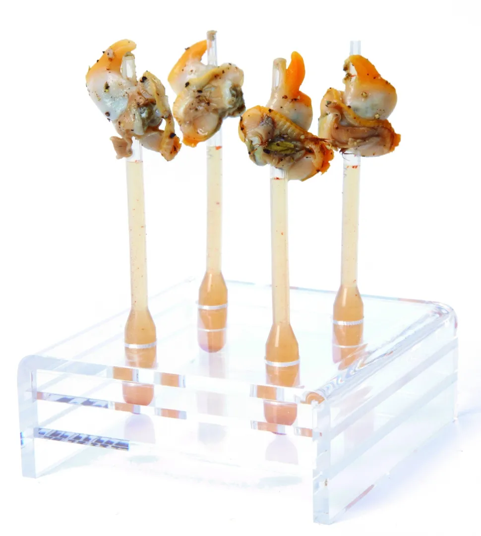 Pipett, konisk, 500-pack - 100% Chef