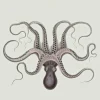 Polpo, A Venetian Cookbook (Of Sorts) - Russel Norman