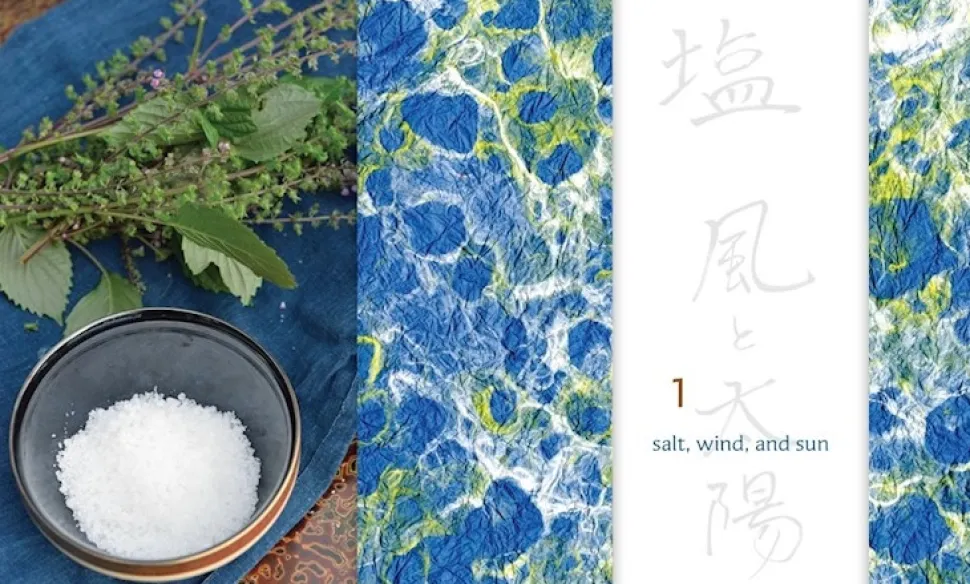 Preserving the Japanese Way - Nancy Singleton Hachisu