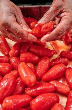 San Marzano-tomater DOP, 420g - Casa Marrazzo