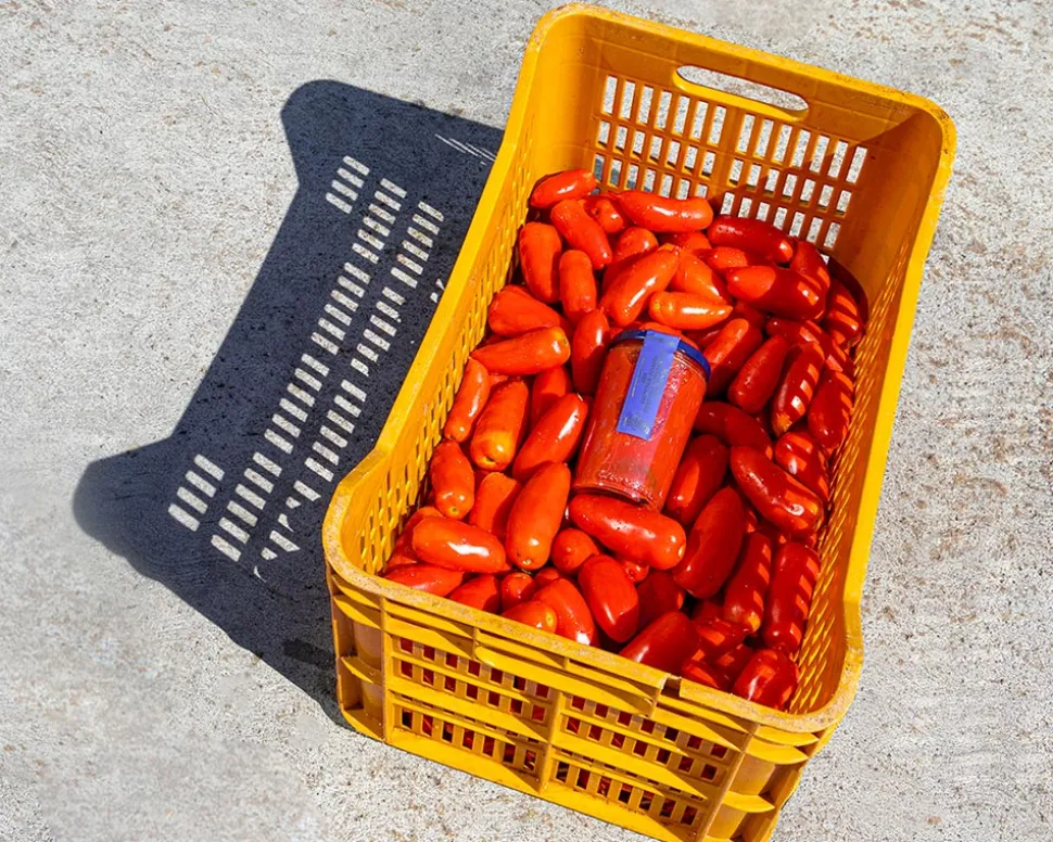 San Marzano-tomater DOP, 2560g - Casa Marrazzo