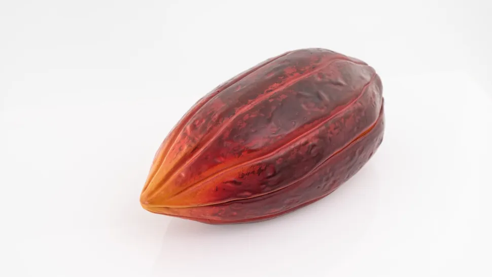 Serveringsfat, Kakaoböna, 26 x 12 cm - 100% Chef