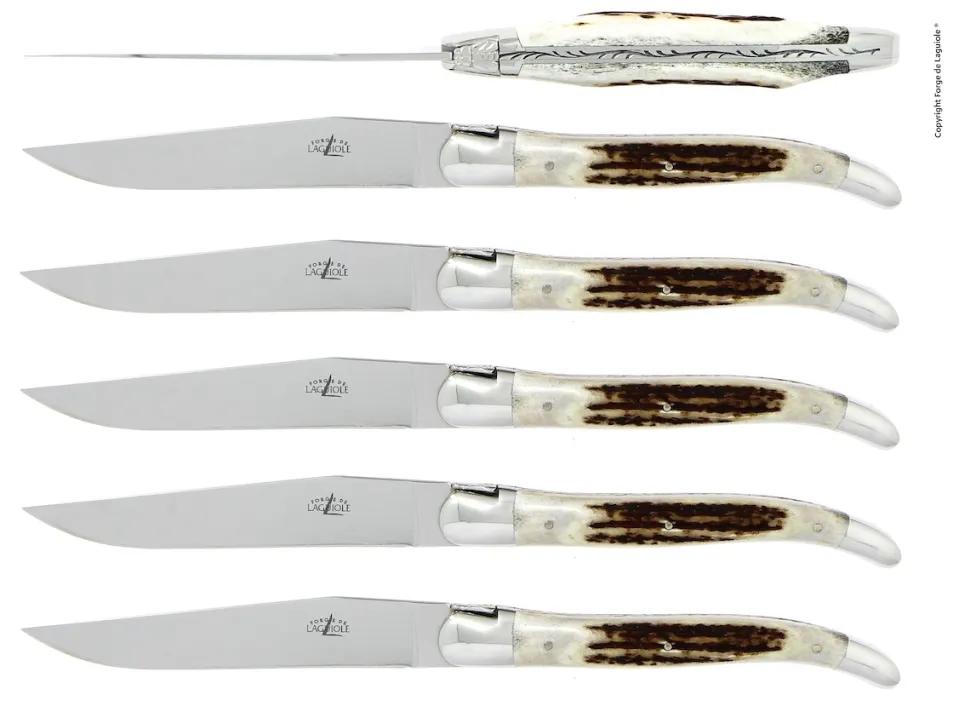 Sex knivar, Handtag av Hjorthorn, blank, Tradition - Forge de Laguiole