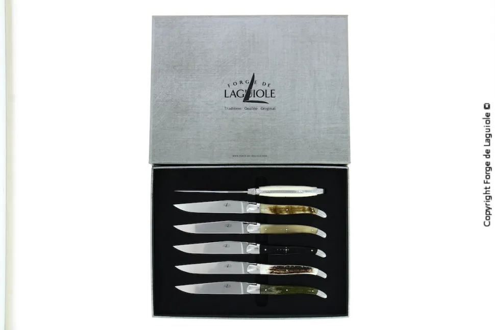 Sex knivar, Handtag av olika Djurmaterial, blank, Tradition - Forge de Laguiole