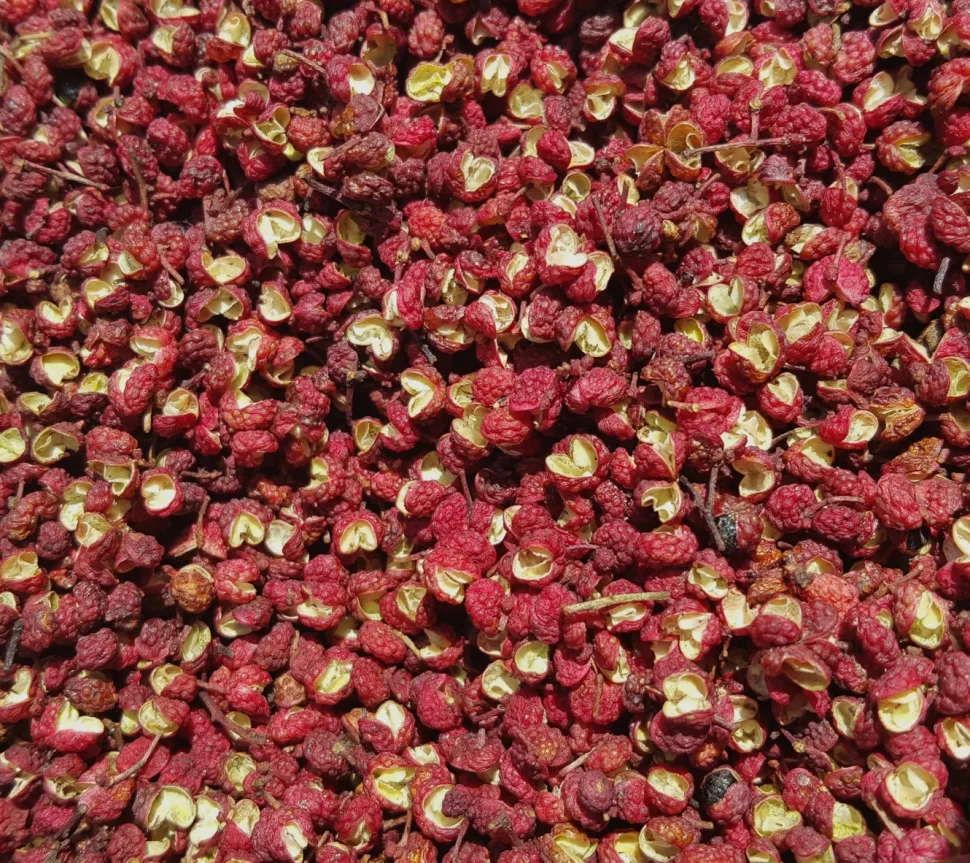Sichuanpeppar, QingXi, 15 g - The Pepper Quest