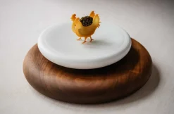 Silikonform, Chicken Tuille Mold - Moldbrothers