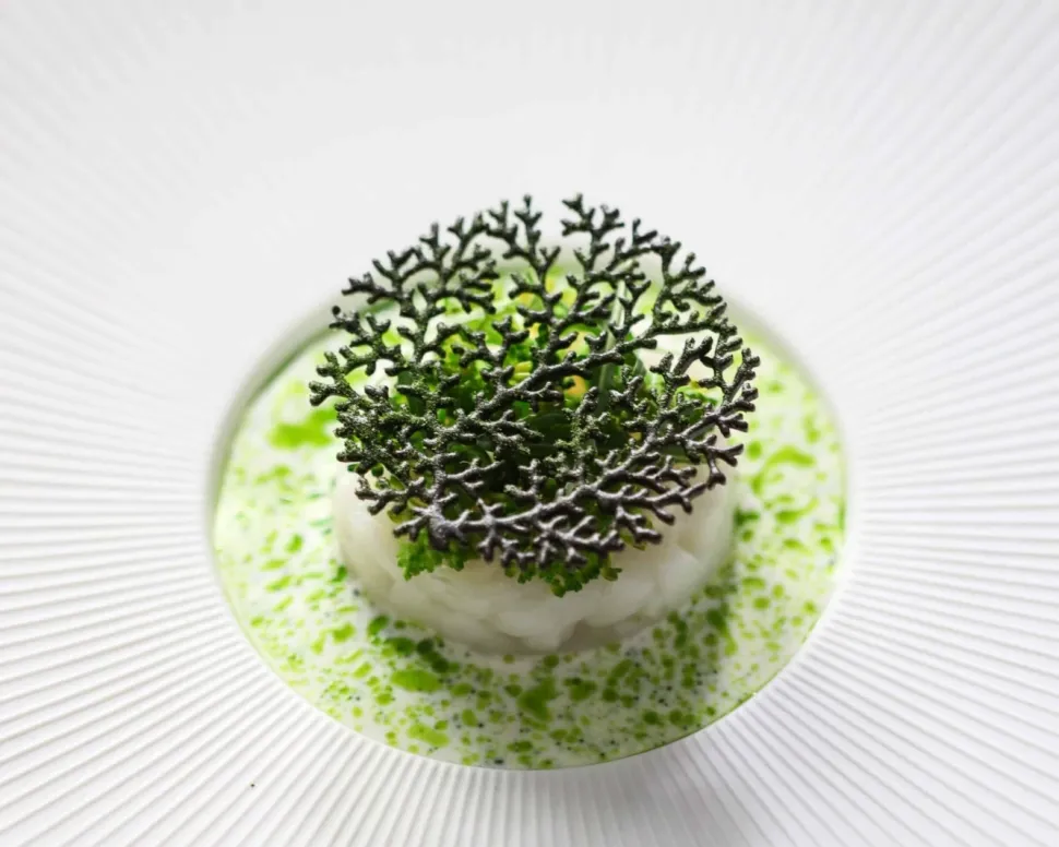 Silikonform, Coral Tuille Mold - Moldbrothers