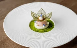 Silikonform, Corola Tuille Mold - Moldbrothers