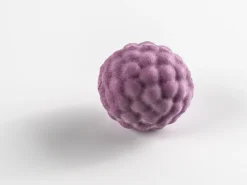 Silikonform för dekor, Björnbär - 100% Chef