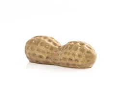 Silikonform för dekor, Jordnöt - 100% Chef