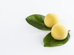 Silikonform för dekor, Lollipop - 100% Chef