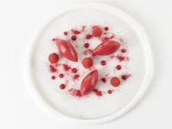 Silikonform för dekor, Quenelle - 100% Chef