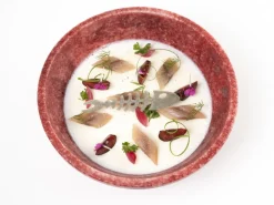 Silikonform för Tuile, Sardin - 100% Chef