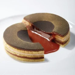 Silikonform GG002, Ring, Gourmand 40x30cm - Pavoni