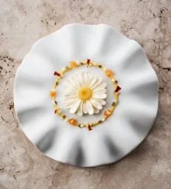 Silikonform, Marguerite Flower Mold - Moldbrothers