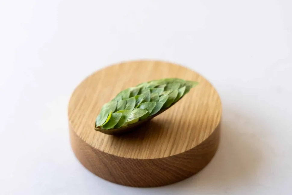 Silikonform, Oval Tartelette Mold - Moldbrothers
