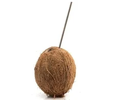 Sugrör - Stainless Steel Straw - 100% Chef