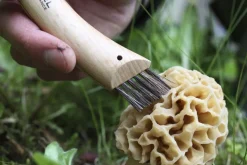 Svampkniv med borste - Opinel